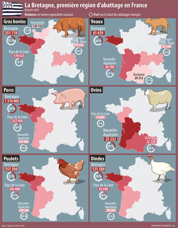 Infographie abattages français