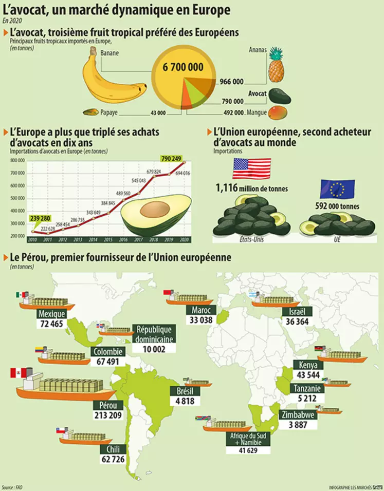 Marché de l'avocat en Europe