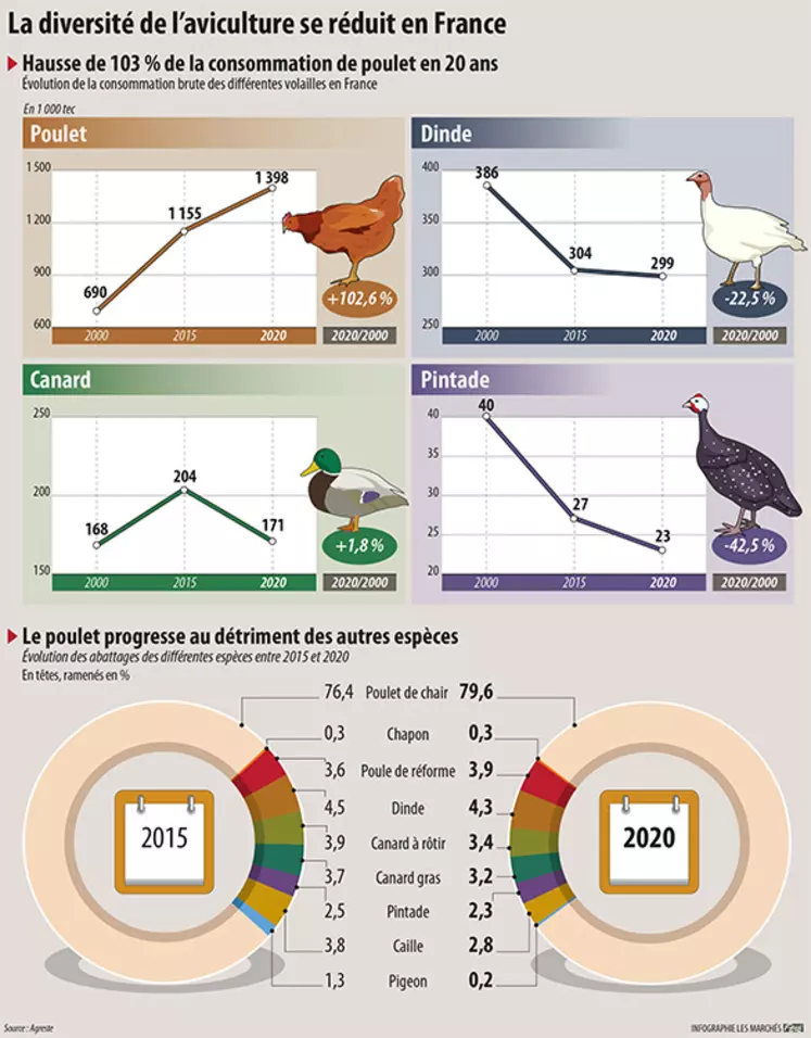 Le canard français - Volaille Française