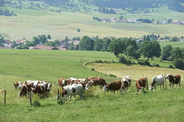 Les analyses de l'Inra et de l'Institut de 
l'élevage montrent que les élevages à l'herbe 
sont particulièrement efficients pour produire
des protéines animales à partir de protéines 
végétales non consommables par l'homme.