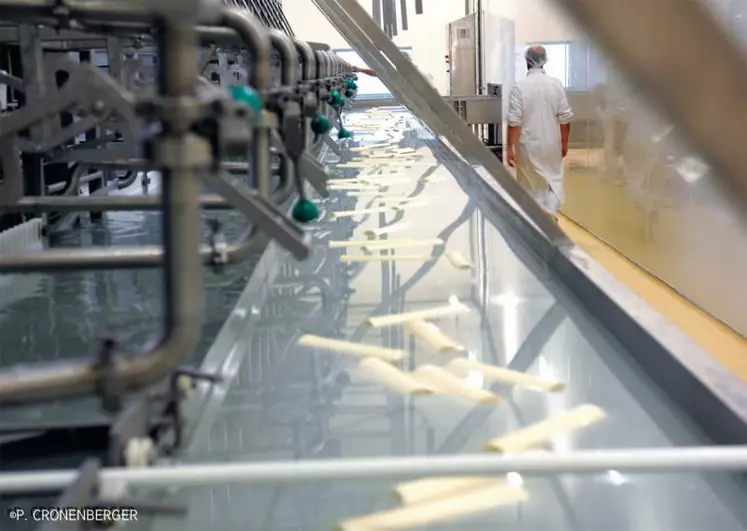 La Rabobank estime la croissance du marché du fromage entre 2011 et 2015 à +0,6 % par an. Ceci ermet de tabler sur une augmentation des capacités de fabrication de fromage en Europe de l’ordre de 50 000 tonnes par an. Une usine à grande échelle. Ci-dessus,
l’usine HCI d’Herbignac en Loire-Atlantique.