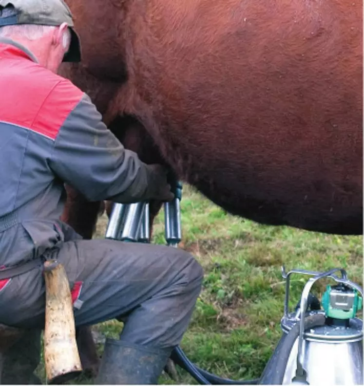 Accompagner les producteurs pour promouvoir
les pratiques favorisant les populations microbiennes
d’intérêt fromager.