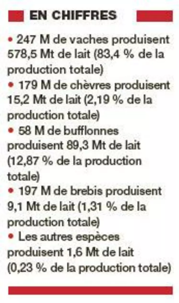 Effectifs et production