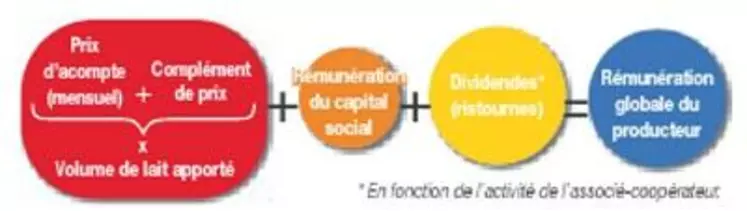 Rémunération de l’associé-coopérateur