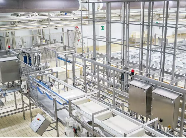 MOULAGE La mozzarella fabriquée à Usmate est
lactique. Après pasteurisation, le lait est ensemencé en
ferments pour obtenir un pH de 5,2 puis emprésuré. Le temps
de prise est de 30 minutes, le caillé est ensuite moulé.