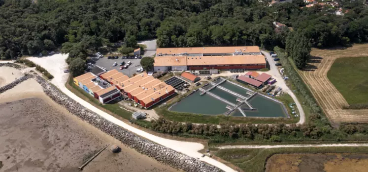 Vue aérienne de la station Ifremer de La Tremblade