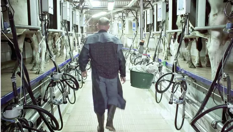 « À l’heure du lait « permet à tous de se mettre au cœur d’une
exploitation laitière, au milieu des vaches, dans le bâtiment ou la
salle de traite pour mieux approcher la réalité de l’élevage laitier