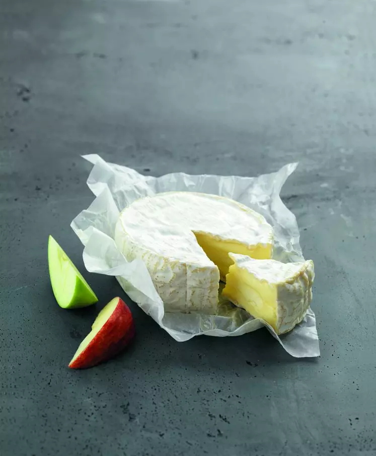 La France a fabriqué en 2017, 91 000 tonnes de camembert,
dont environ 60 000 tonnes de camembert 
fabriqué en Normandie et 5 700 tonnes de 
camembert de Normandie AOP.