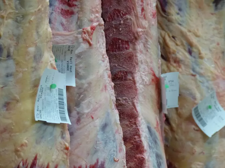 La production de viande bovine dans l’UE a reculé au premier semestre