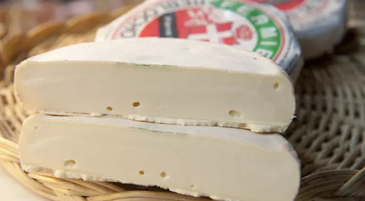 Chaque maillon de la production de fromages joue un rôle contre la prévention des Stec.