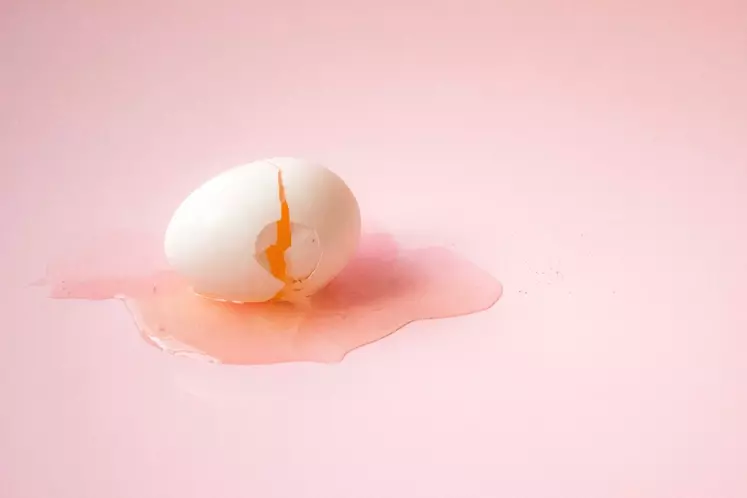 [Édito] À quoi ressemblera l’œuf de demain ?