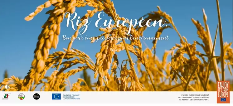 La campagne pour les riz européens vante la durabilité des filières.