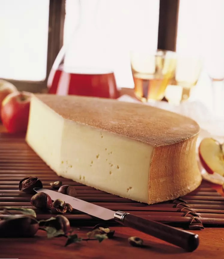En 2021, près de 180 tonnes de fromages Abondance AOP ont été exportées. 