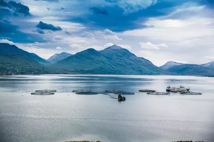 La filière écossaise produits de la mer compte 603 sites d'aquacultures.