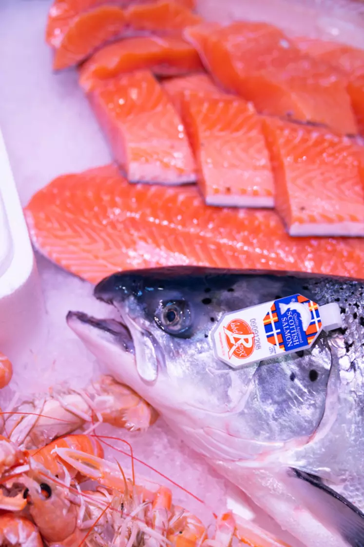 90 % du saumon label Rouge écossais est envoyé vers la France.
