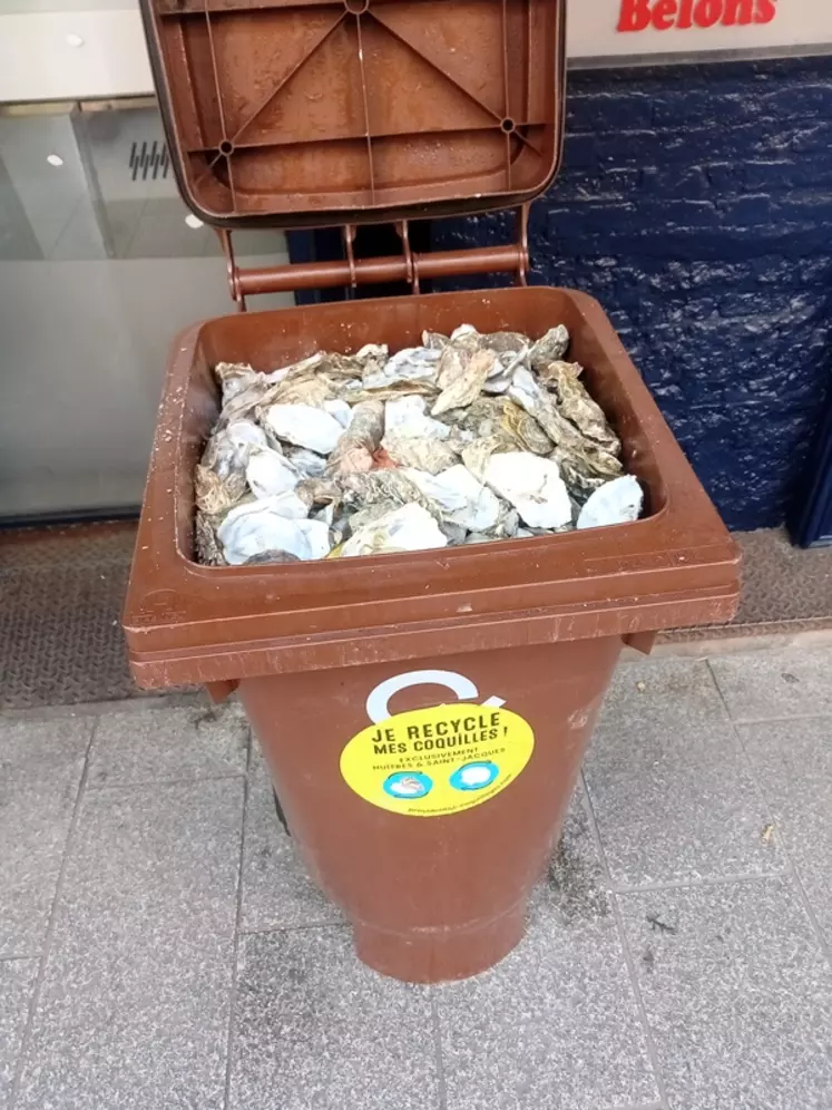 L’entreprise toulousaine Providentiel Coquillages organise depuis deux ans une collecte volontaire de coquilles d’huîtres et de coquilles Saint-Jacques chez les poissonniers.