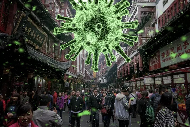 Le coronavirus pourrait coûter 0,2 à 1,4 point à la croissance chinoise. © DR