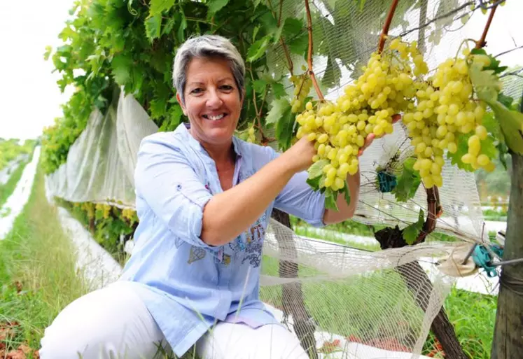 Françoise Roch, présidente de la Fédération nationale des producteurs de fruits. © DR