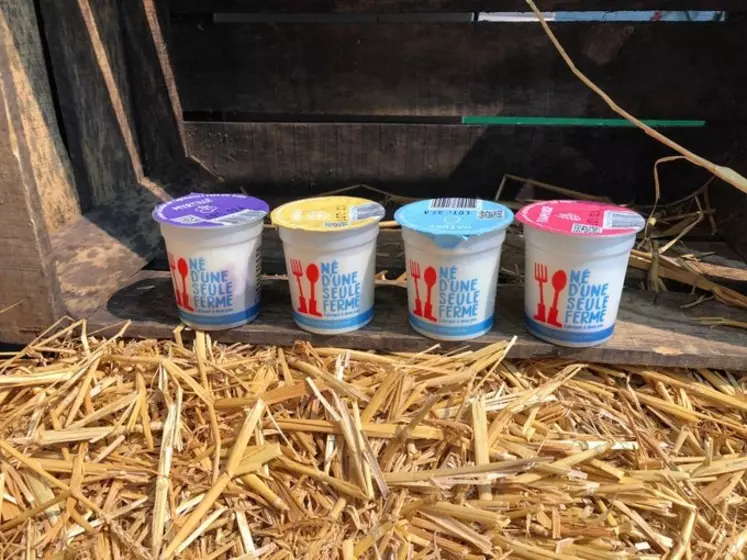 Les yaourts de la start-up Né d'une seule ferme permettent une valorisatinon du lait de 500 euros les 1000 litres. © Né d'une seule ferme