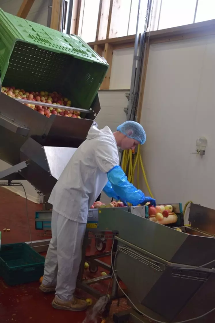 Après une année 2019 durant laquelle elle a transformé plus de 1000 t de pommes, elle devrait flirter avec les 3 000 t en 2020. © Y. B.