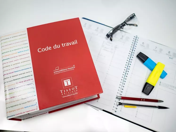 L'ordonnance n° 2020-323 autorise les entreprises relevant de certains secteurs à déroger de manière temporaire et exceptionnelle au droit du travail. © DR