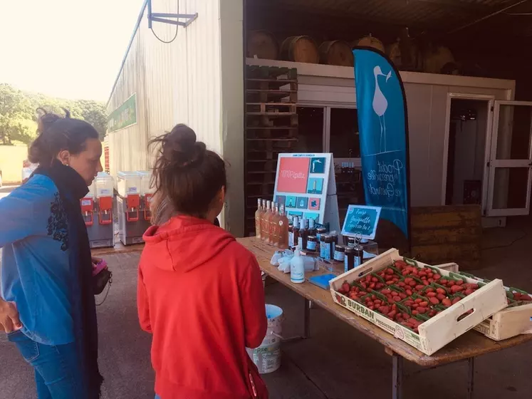 Le collège producteurs de Produit en presqu'île de Guérande a choisi de lancer le 25 mars un drive pour compenser une partie de la perte d’activité. © DR