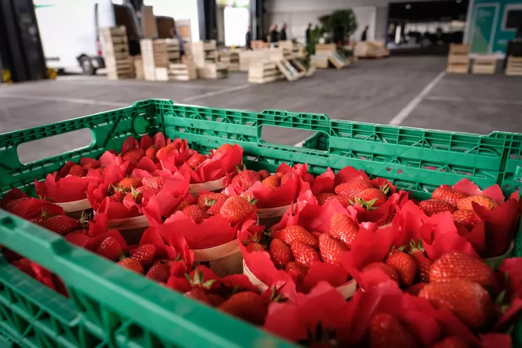 La demande de la distribution en produits d'origine France est beaucoup plus importante ces dernières semaines. © Yann Kerveno