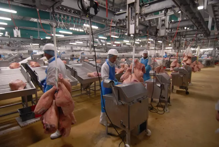 Atelier de découpe dans l'abattoir de porcs Gatine Viandes. © Franck Jourdain