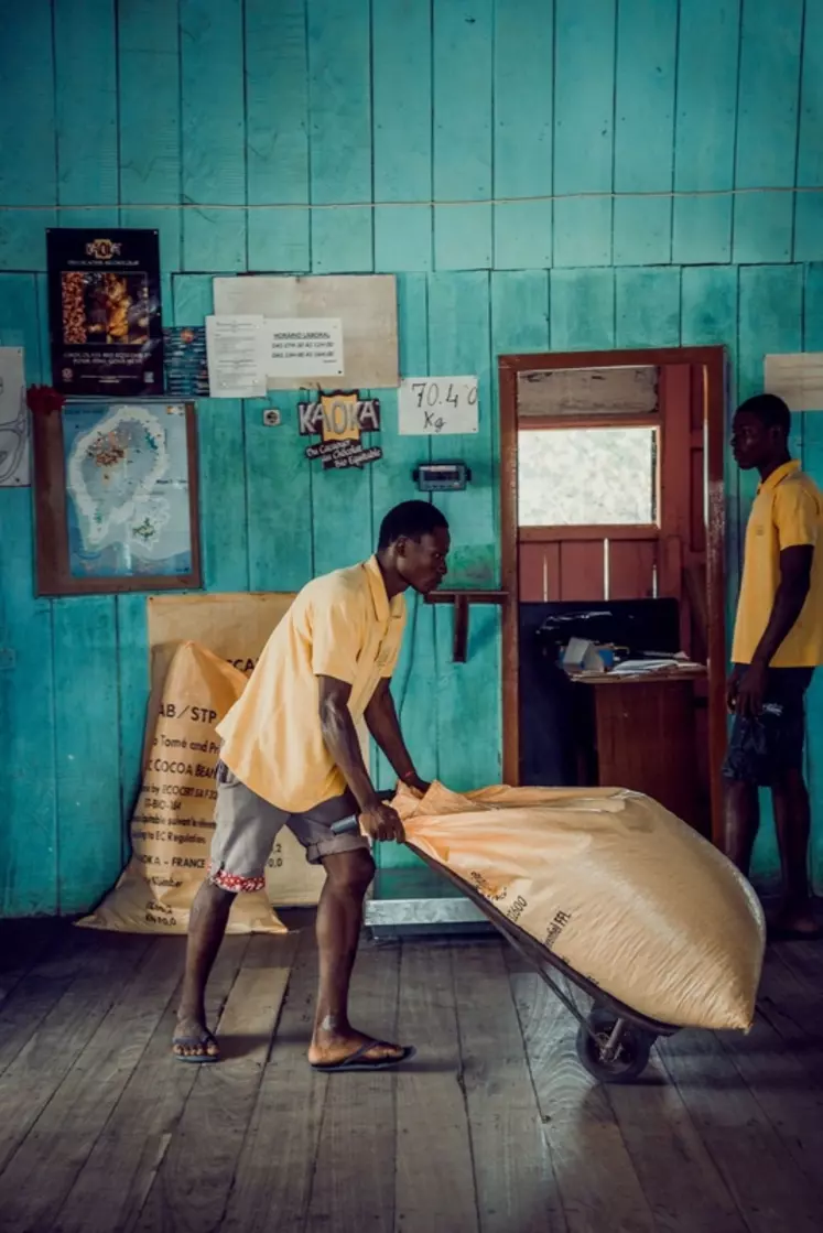 Préparation à l'export à Sao Tomé. © Kaoka