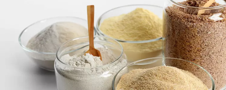 Les ingrédients issus de l'amidonnerie s'emploient dans la cuisine industrielle et domestique. © Cargill