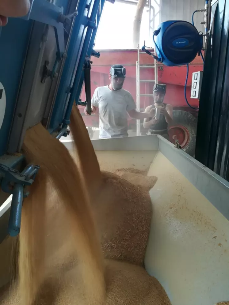 Sept machines sont nécessaires pour purifier la graine de quinoa à un niveau proche de 100%.  © Berry Graines