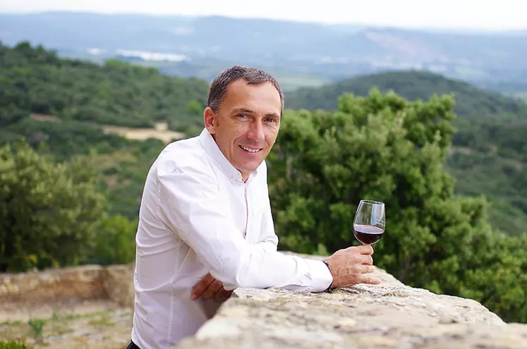 Philippe Pellaton, nouveau président d'Inter Rhône.  © Inter Rhône