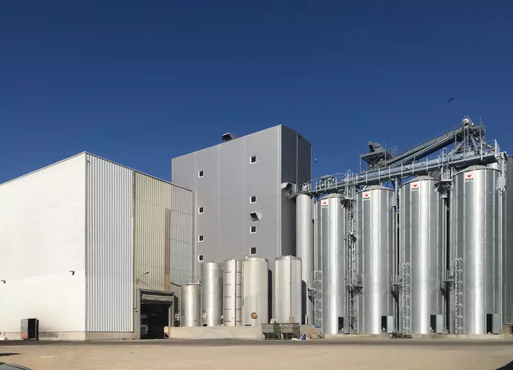 Une unité de transformation des graines légumineuses a été montée dans une usine de Tromelin Nutrition dans le nord-Finistère. © Tromelin Nutrition