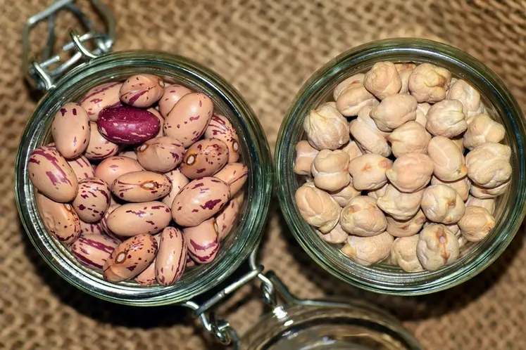 Les protéines de légumineuses n’ont pas encore trouvé leur place dans l’alimentation occidentale. © Ulleo/3991 Images/Pixabay