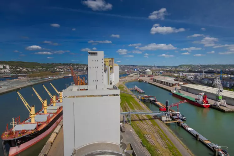 En 2019-2020, 3,5 millions de tonnes de blé français exportées du port de Rouen sont sorties des silos de Sénalia. © Sénalia