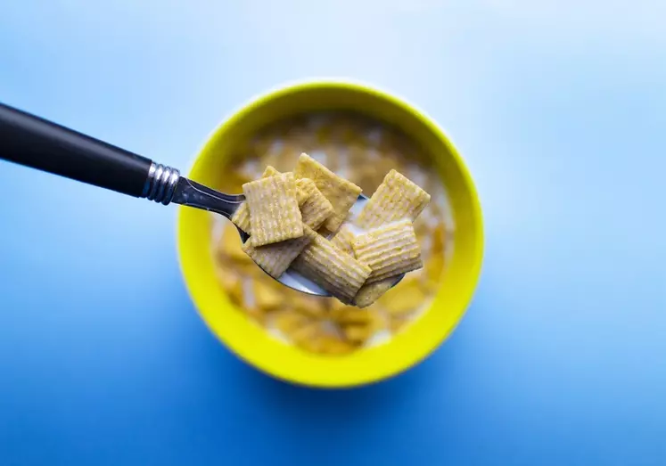 Le consommateur pourra se fier à une allégation en vérifiant que l'aliment est compatible avec ses exigences nutritionnelles. © Gareth Wille/Pixabay