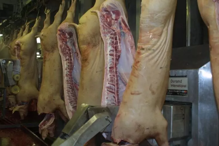 Des abattoirs bretons de porc ont déposé leur dossier dans le cadre du plan de modernisation des abattoirs. © Dominique Poilvet