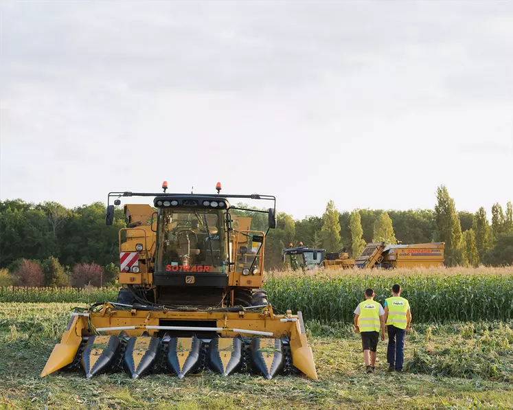 Bonduelle soutient partiellement le revenu des producteurs de légumes et la transition agricole par ses revalorisations de prix. © N. Blandin