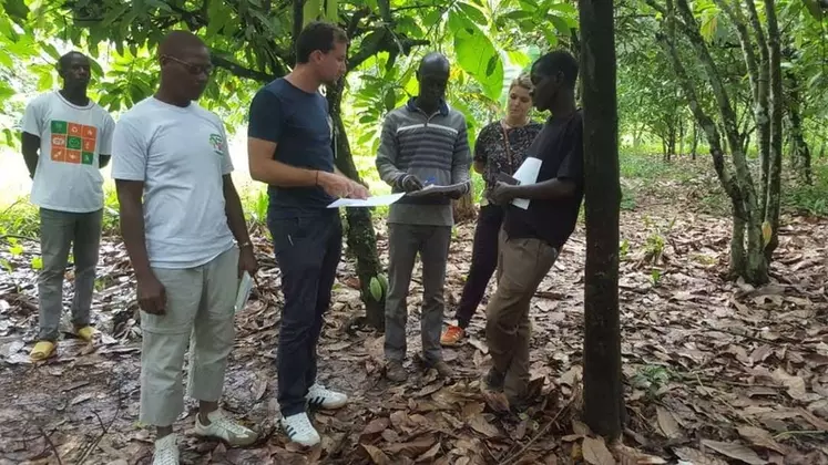 Formation des salariés qui "mappent" les parcelles de production du cacao en Côte d'Ivoire. © JLB