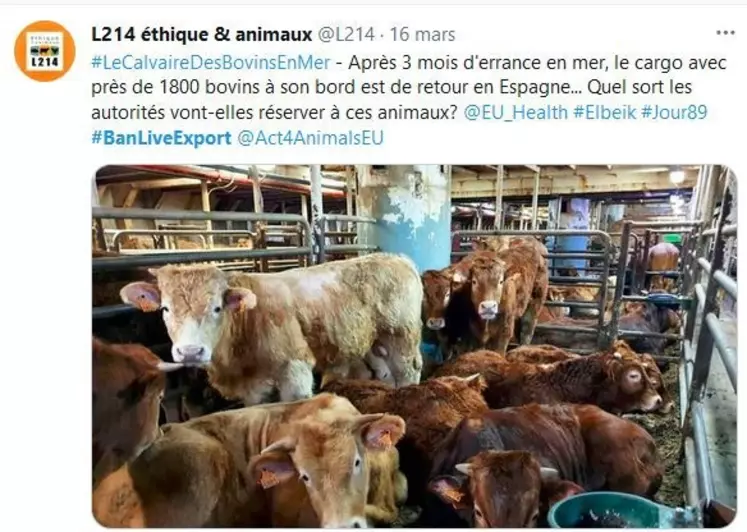 Sur Facebook et Twitter, les appels ont été nombreux. © Capture d'écran