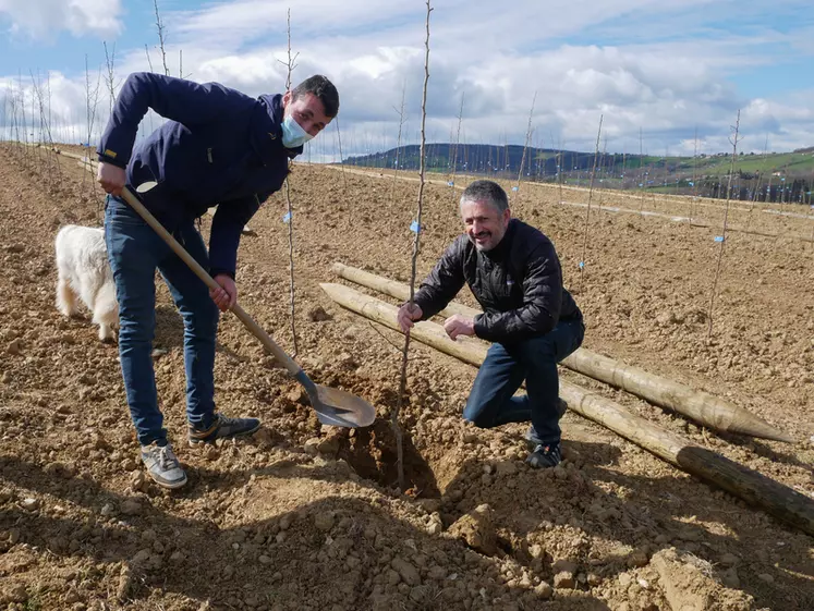 Le 18 mars, le directeur général de Blédina, Markus Sandmayr (à droite) a aidé l'arboriculteur partenaire Grégoire Cote à planter un jeune poirier. © Blédina