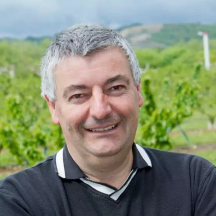 Bruno Darnaud, président de la Gouvernance économique des fruits et légumes (Gefel). © DR