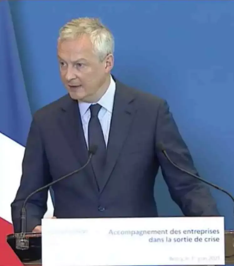 Bruno Le Maire, ministre de l'Economie, en conférence de presse le 1er juin 2021. © Capture d'écran