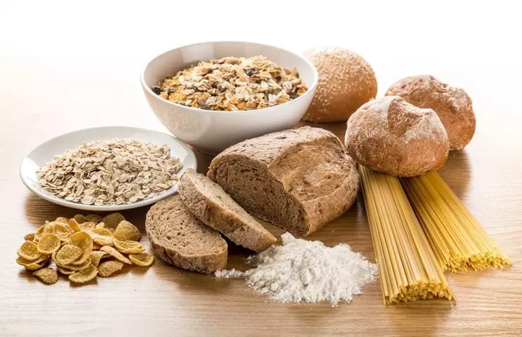 Une variété d'aliments céréaliers enrichis en fibres aiderait les consommateurs à atteindre une dose suffisante, affirme Limagrain Ingredients. © Limagrain Ingredients