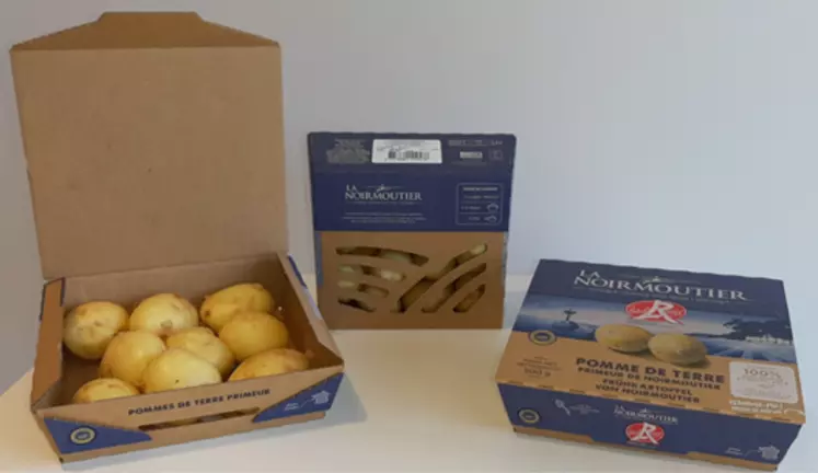 Emballage développé par DS Smith pour les pommes de terre de la Coopérative agricole de Noirmoutier.