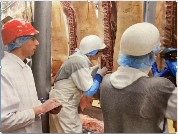 L'Union des groupements de producteurs de viande de Bretagne (UGPVB) a saisi Uniporc-Ouest, l’an passé, pour qu’il travaille sur un mode opérationnel de gestion des odeurs de carcasses.