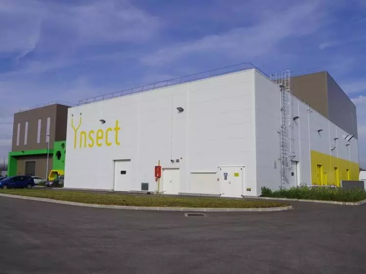 La start-up française Ynsect a levé 125 millions d'euros en 2019. © Ynsect