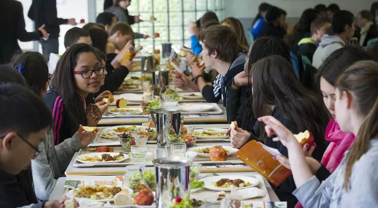 Le taux de marge de la restauration collective concédée est passé de 13% à 7% entre 2010 et 2018. © Xavier Remongin / ...