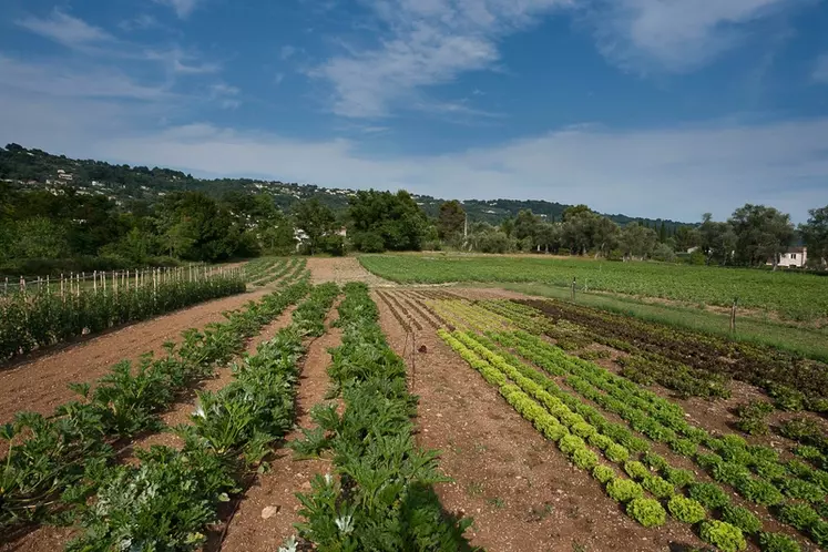 Le collectif vante la mise en place de régies agricoles et prône la remise en culture des terres en friche. © Mouans Sartoux