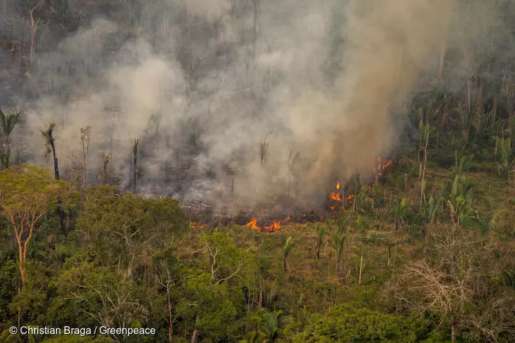 Incendie dans la réserve de Jaci-Paraná, à Porto Velho dans l'Etat de Rondônia (Brésil). © © Christian Braga / ...